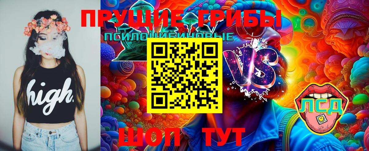 Свободный  Галлюциногенные грибы Psilocybine cubensis  Вход с VPN 