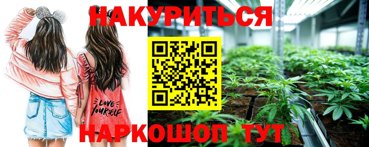 Конопля Bruce Banner Свободный